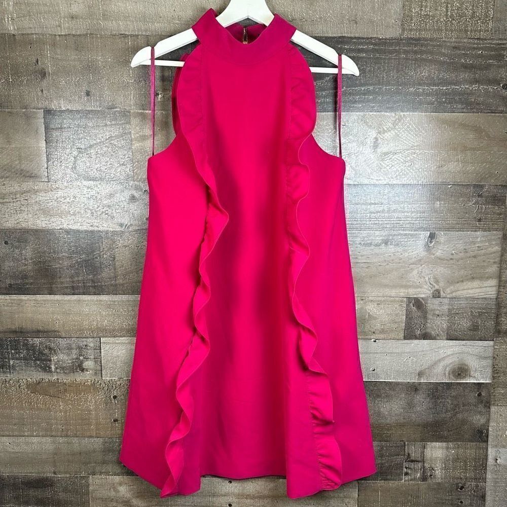 Ted Baker Women’s Size 4 Torriya Dress Hot Pink Fuschia Ruffle A Line High Neck